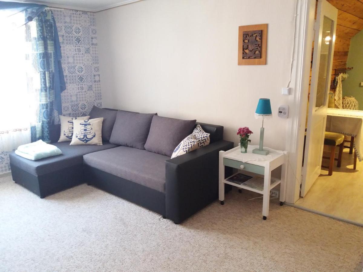 Viljandi Paadimehe Apartment Экстерьер фото